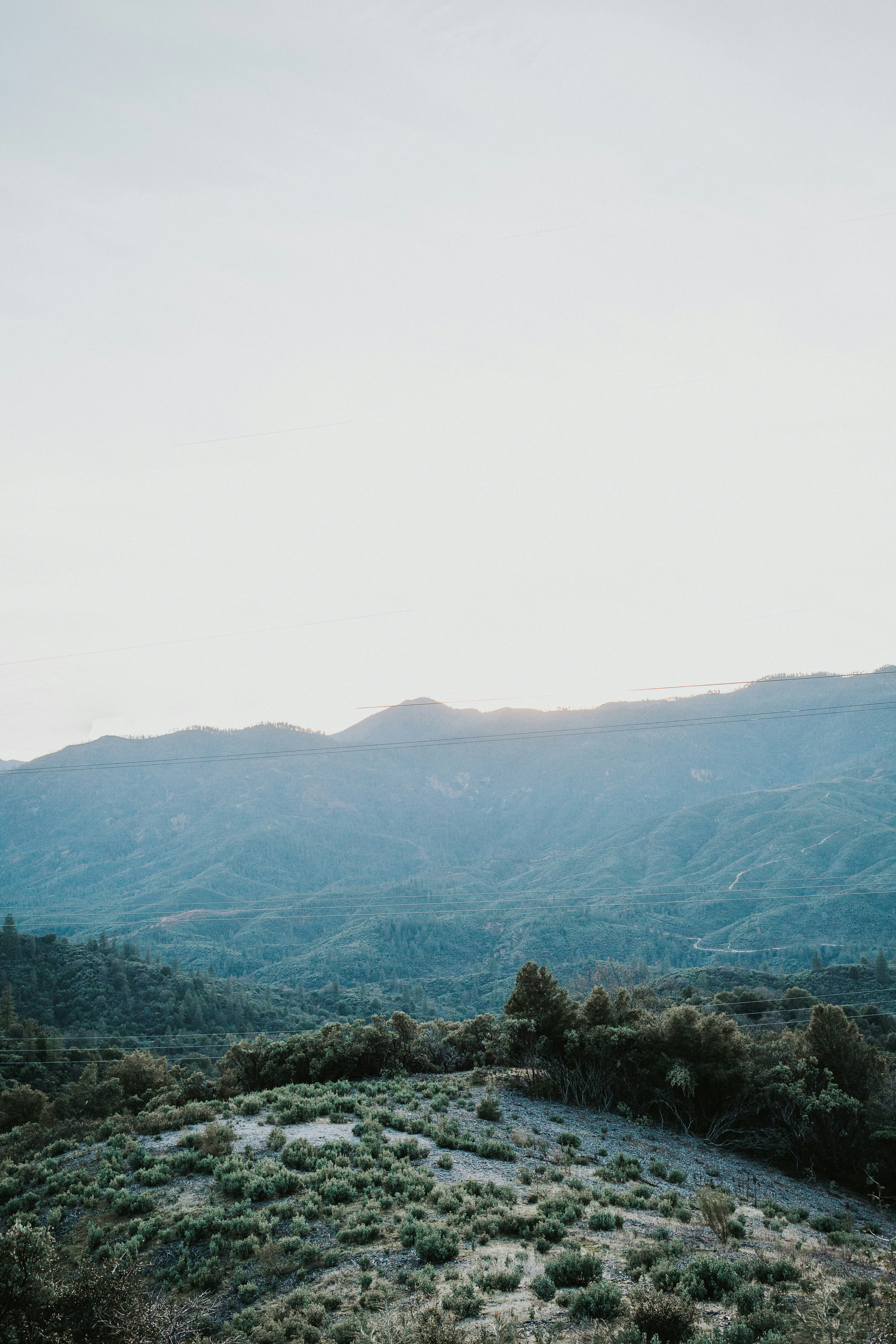 green trees on mountain during daytime